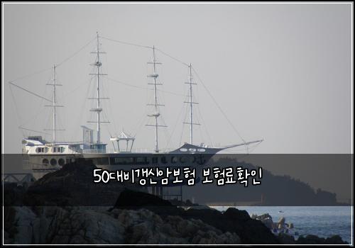 50๋๋น๊ฐฑ์ ์๋ณดํ ๋ณดํ๋ฃํ์ธ