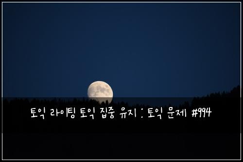 토익 라이팅 토익 집중 유지 : 토익 문제 #994