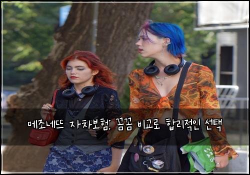 메조네뜨 자차보험: 꼼꼼 비교로 합리적인 선택