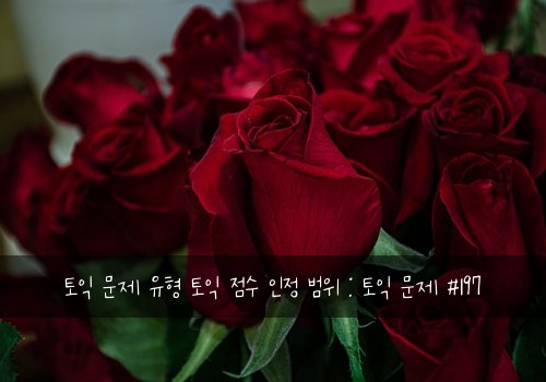 토익 문제 유형 토익 점수 인정 범위 : 토익 문제 #197