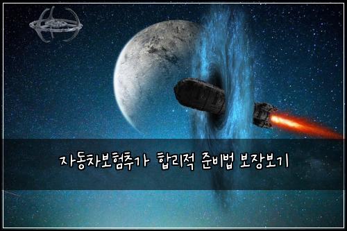 자동차보험추가 합리적 준비법 보장보기