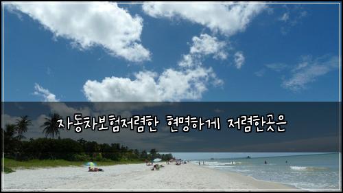 μλ차보νμ λ ΄ν νλͺ
νκ² μ λ ΄νκ³³μ