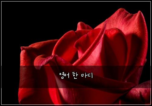 영어 한 마디