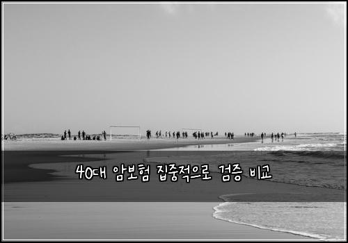 40๋ ์๋ณดํ ์ง์ค์ ์ผ๋ก ๊ฒ์ฆ ๋น๊ต