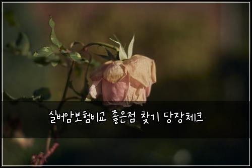 실버암보험비교 좋은점 찾기 당장체크
