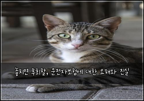  놓치면 후회할, 운전자보험에 대한 오해와 진실