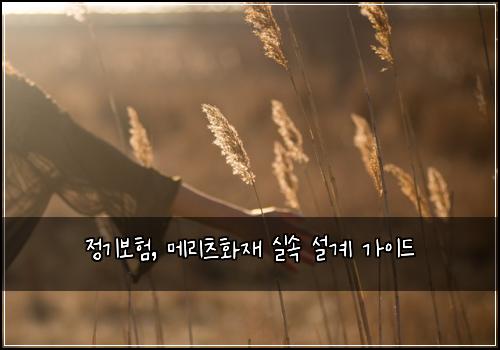 정기보험, 메리츠화재 실속 설계 가이드
