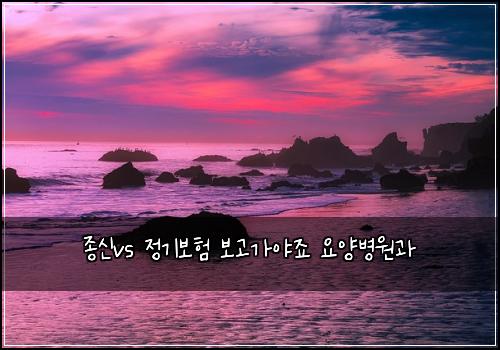 종신vs 정기보험 보고가야죠  요양병원과