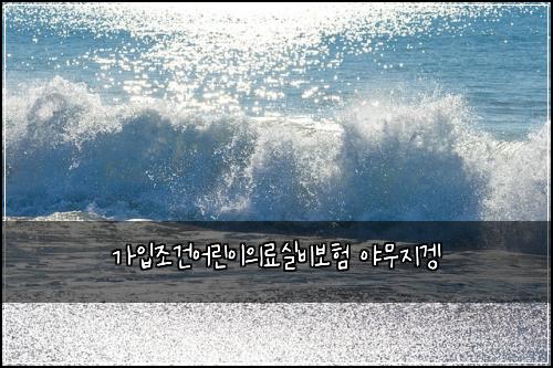 가입조건어린이의료실비보험 야무지겡 