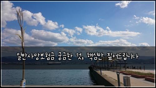  일반사망보험금 궁금한 것, 핵심만 짚어드립니다