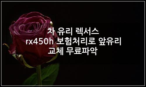 오늘의 이미지