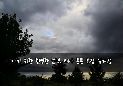  아기 위한 현명한 선택, 태아 튼튼 보장 설계법
