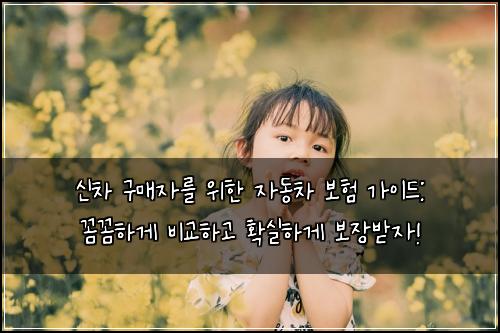 신차 구매자를 위한 자동차 보험 가이드: 꼼꼼하게 비교하고 확실하게 보장받자!