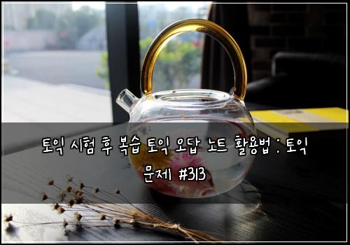 토익 시험 후 복습 토익 오답 노트 활용법 : 토익 문제 #313