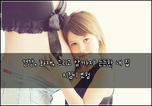  건강, 화재, 그리고 암까지! 든든한 내 집 지킴이 보험