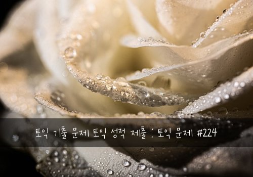 토익 기출 문제 토익 성적 제출 : 토익 문제 #224