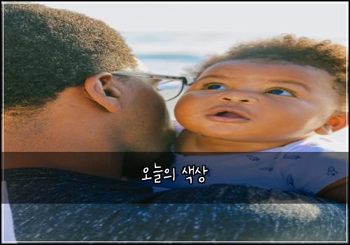 오늘의 색상