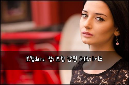 ๋ณดํdata ์ ๊ธฐ๋ณดํ ๋จํธ ์ฒดํฌ๊ฐ์ด๋