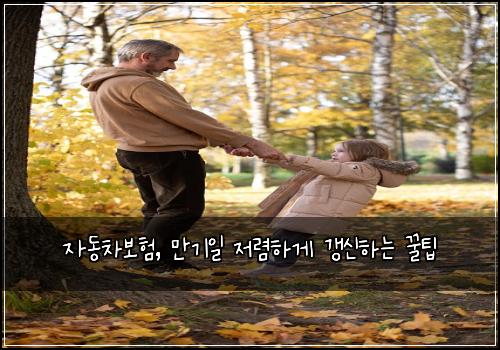  자동차보험, 만기일 저렴하게 갱신하는 꿀팁