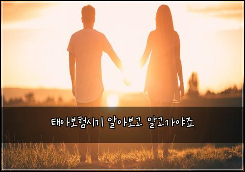 ํ์๋ณดํ์๊ธฐ ์์๋ณด๊ณ ์๊ณ ๊ฐ์ผ์ฃ