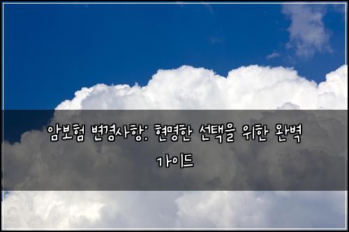 암보험 변경사항: 현명한 선택을 위한 완벽 가이드