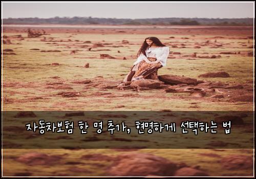 자동차보험 한 명 추가, 현명하게 선택하는 법
