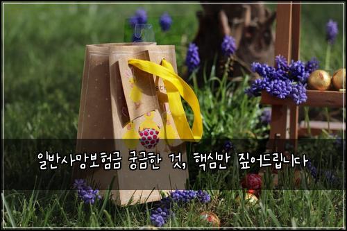  일반사망보험금 궁금한 것, 핵심만 짚어드립니다
