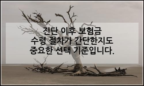 오늘의 이미지