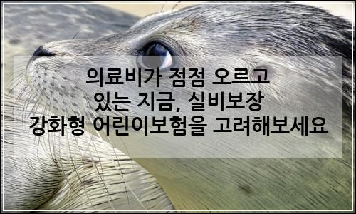 오늘의 이미지