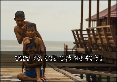 전립선암 보험, 현명한 선택을 위한 분석 꿀팁