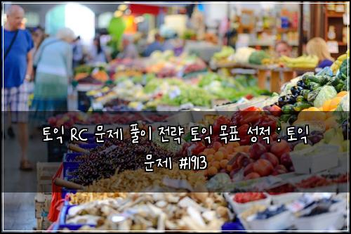 토익 RC 문제 풀이 전략 토익 목표 성적 : 토익 문제 #1913