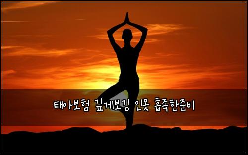 태아보험 깊게보깅  인옷 흡족한준비