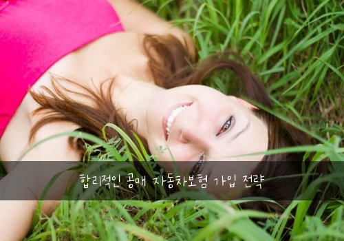  합리적인 공매 자동차보험 가입 전략