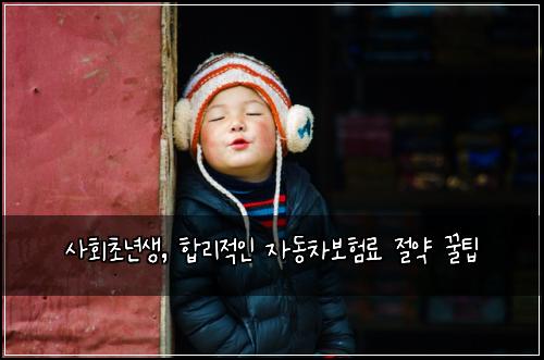  사회초년생, 합리적인 자동차보험료 절약 꿀팁