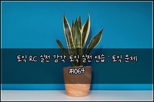 토익 RC 실전 감각 토익 실전 연습 : 토익 문제 #1064