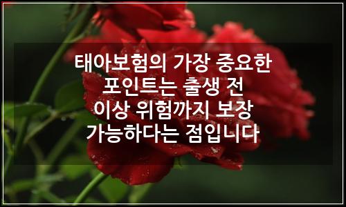 오늘의 이미지