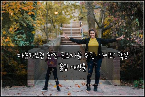  자동차보험 완전 초보자를 위한 가이드: 핵심 꿀팁 대방출