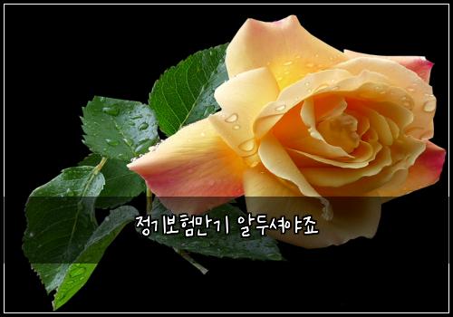 ์ ๊ธฐ๋ณดํ๋ง๊ธฐ ์๋์
์ผ์ฃ