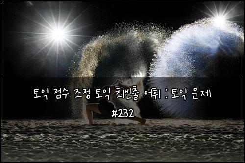 토익 점수 조정 토익 최빈출 어휘 : 토익 문제 #232