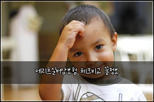 λ©λ¦¬μΈ μ€λ²μ보ν 체ν¬λΉκ΅ κΏμ 보