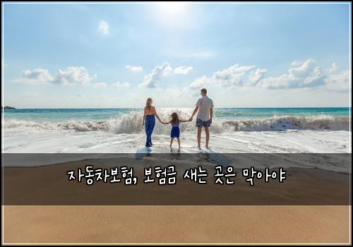 자동차보험, 보험금 새는 곳은 막아야