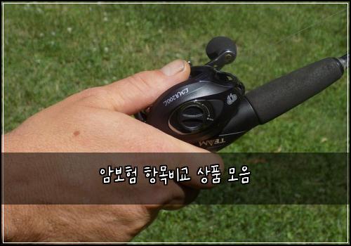 암보험 항목비교  상품 모음
