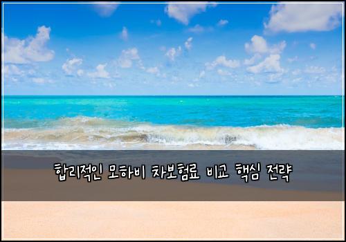  합리적인 모하비 차보험료 비교 핵심 전략