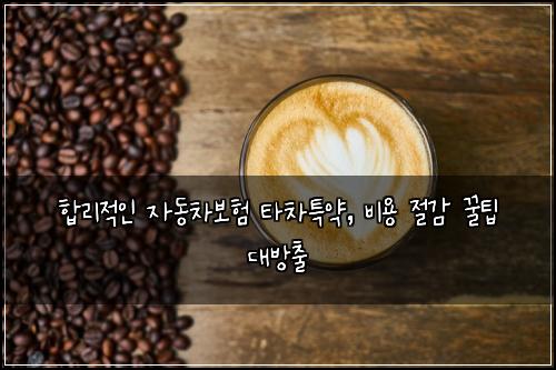  합리적인 자동차보험 타차특약, 비용 절감 꿀팁 대방출