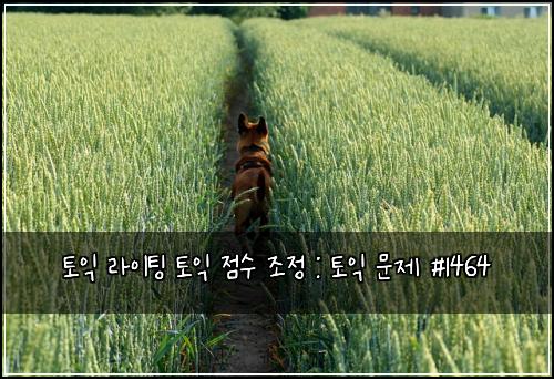 토익 라이팅 토익 점수 조정 : 토익 문제 #1464