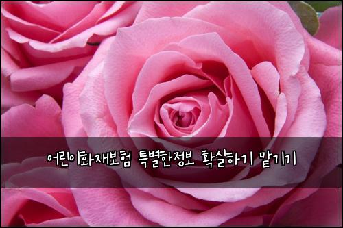 ์ด๋ฆฐ์ดํ์ฌ๋ณดํ ํน๋ณํ์ ๋ณด ํ์คํ๊ธฐ ๋งก๊ธฐ๊ธฐ