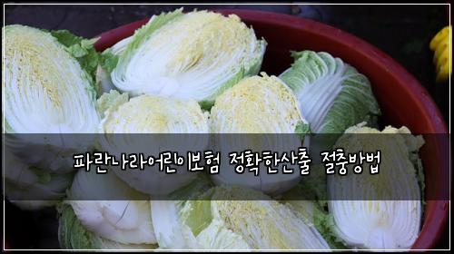ํ๋๋๋ผ์ด๋ฆฐ์ด๋ณดํ ์ ํํ์ฐ์ถ ์ ์ถฉ๋ฐฉ๋ฒ