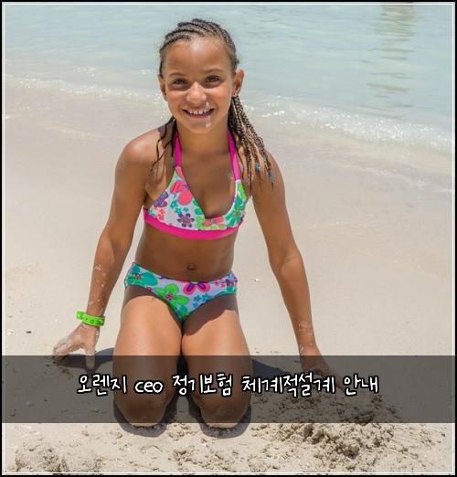 오렌지 ceo 정기보험 체계적설계  안내