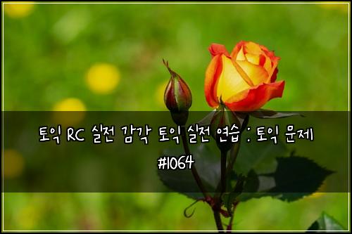 토익 RC 실전 감각 토익 실전 연습 : 토익 문제 #1064