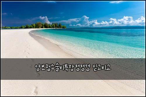 μ보νμμ λΉνΉμ₯μ μ κ² λ―Ώκ³ λΉκ΅